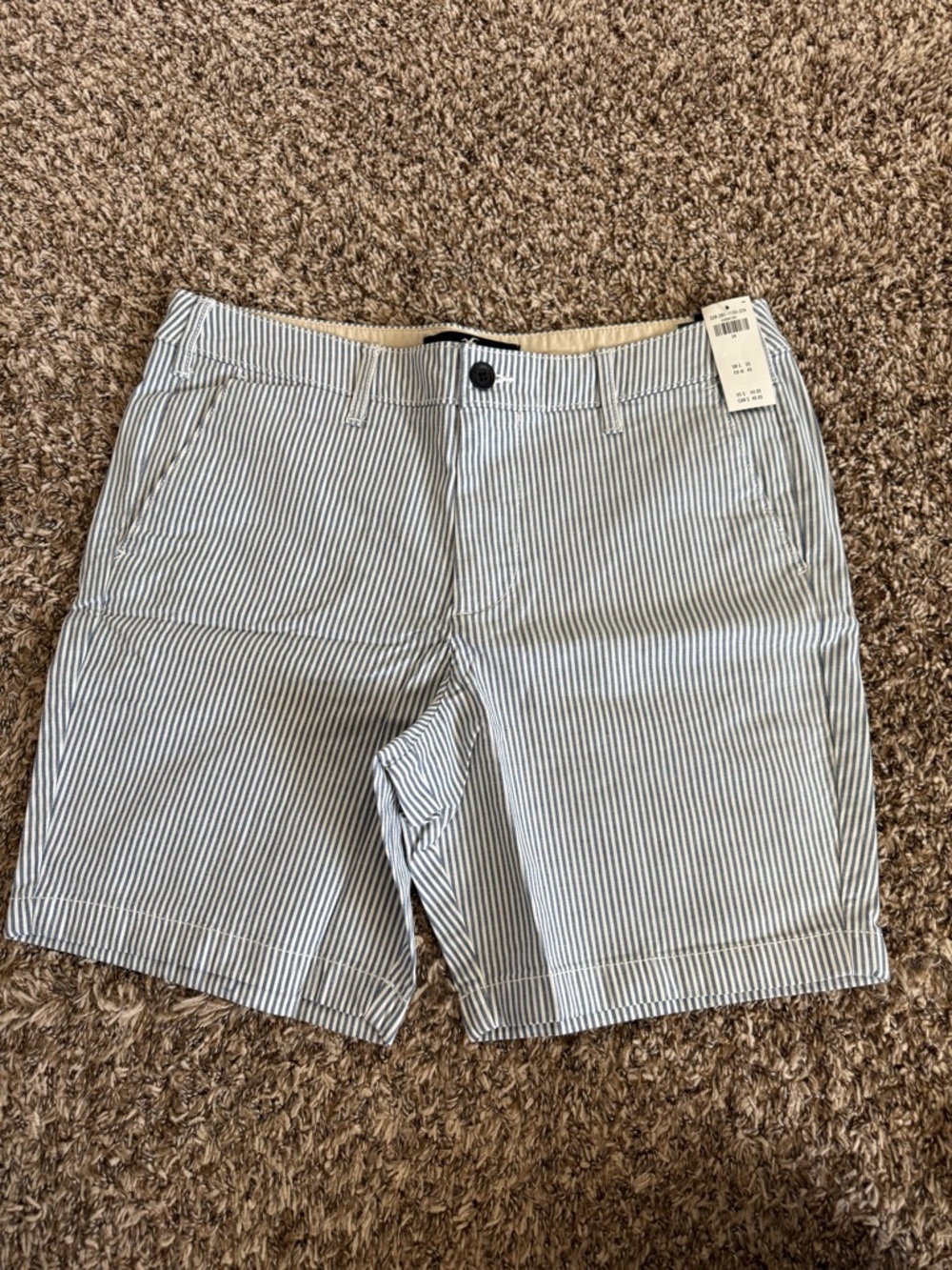 NWT Hollister Men's Epic Flex Shorts | Waist 34 | Blue and White stripes